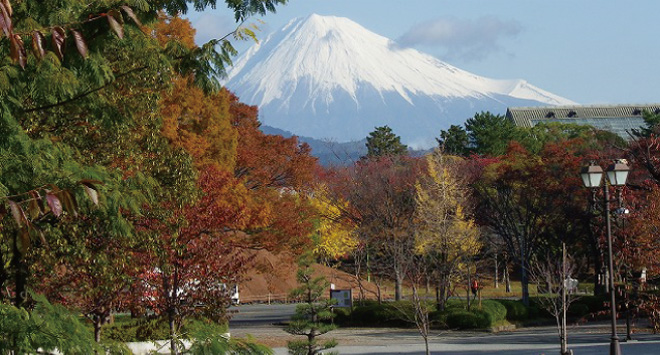 富士見芝生広場イメージ